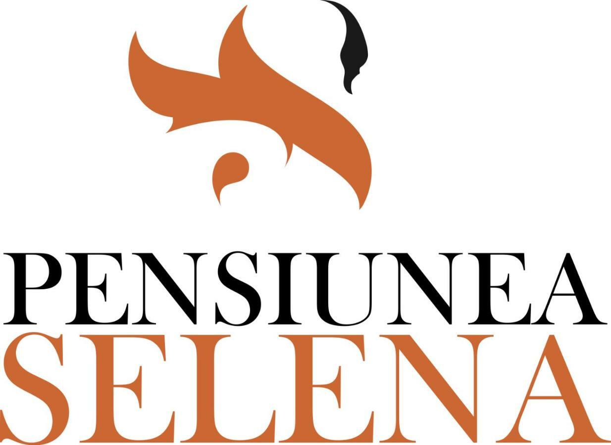 Pensiunea Selena Вишеу-де-Сус Экстерьер фото